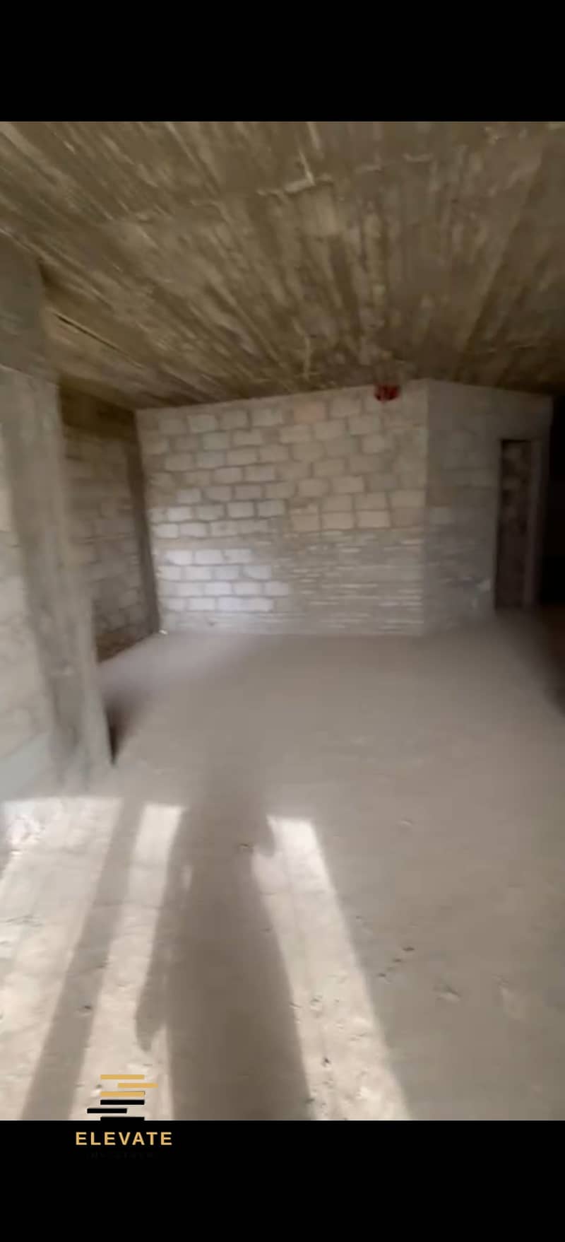 7 346972. jpg