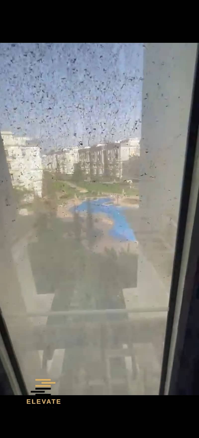 11 346981. jpg