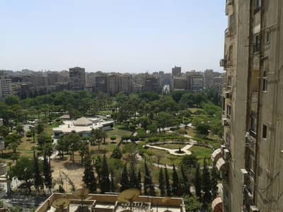 3 Bedroom Duplex for Sale in Nasr City, Cairo - دوبلكس في مدينة نصر يطل على حديقة الطفل ٢٤٠م 3 Bedroom Duplex for Sale in Nasr City, Cairo - دوبلكس في مدينة نصر يطل على حديقة الطفل ٢٤٠م