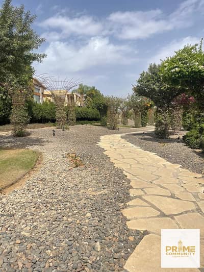 4 Bedroom Villa for Sale in Sheikh Zayed, Giza - 26e8a8f8-8403-445a-9592-7106bf428d75. jpg 4 Bedroom Villa for Sale in Sheikh Zayed, Giza - 26e8a8f8-8403-445a-9592-7106bf428d75. jpg