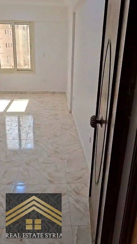 21 1000525381. jpg