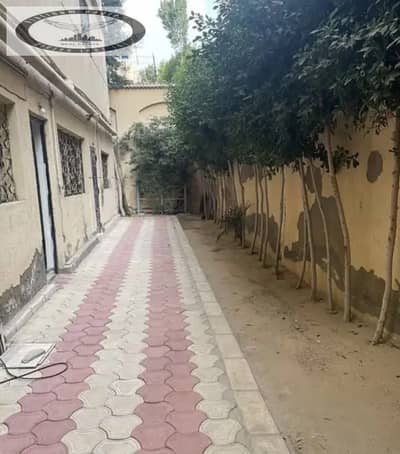 2 Bedroom Apartment for Rent in New Cairo, Cairo - b8e75954-6e3d-48f3-beaf-567da46ace70. jpg 2 Bedroom Apartment for Rent in New Cairo, Cairo - b8e75954-6e3d-48f3-beaf-567da46ace70. jpg