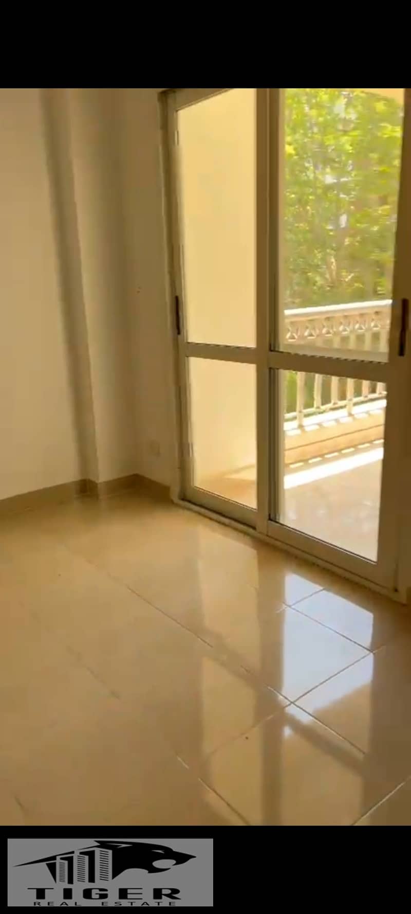 9 1000747205. jpg