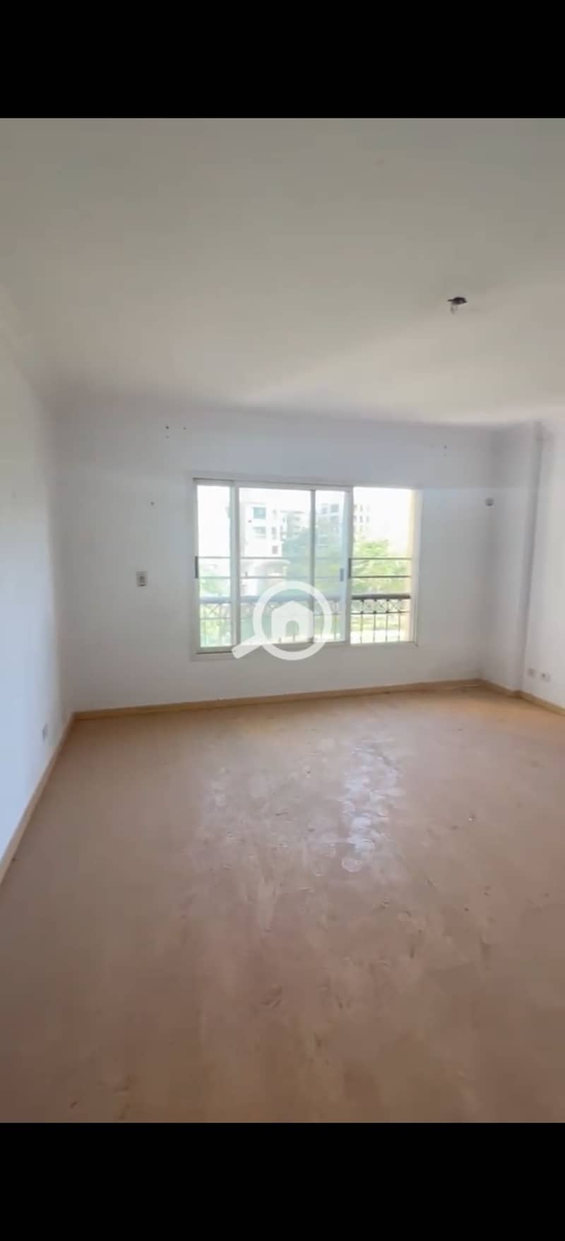 2 531285. jpg
