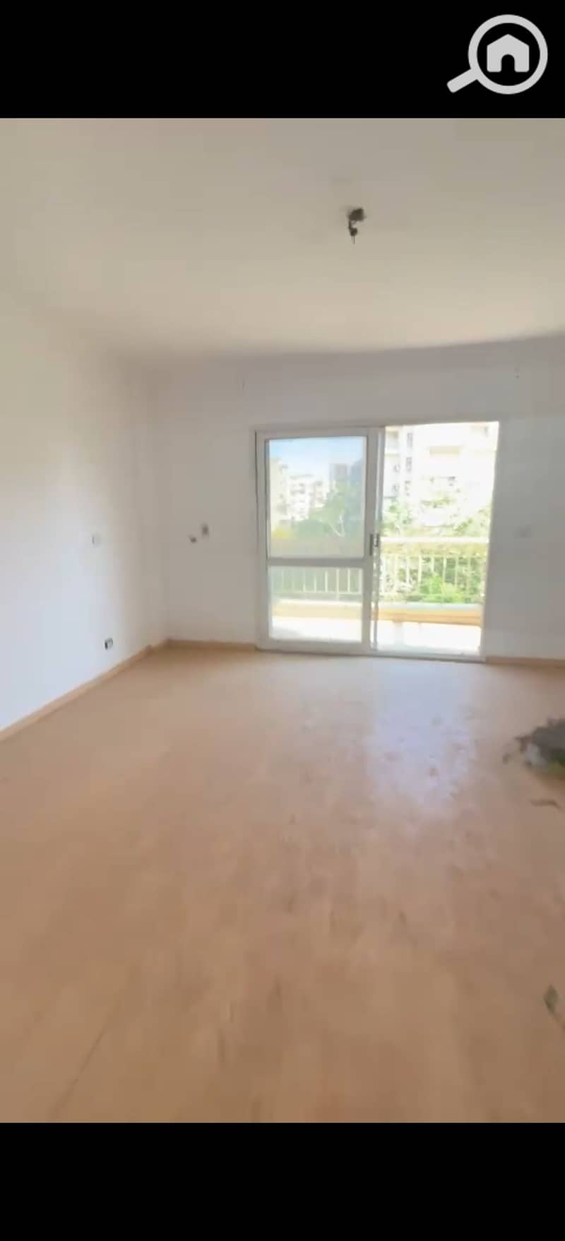 3 531286. jpg