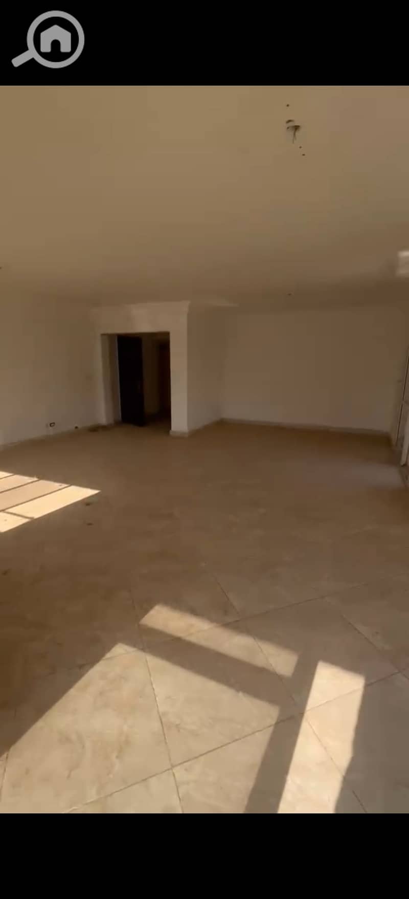 4 531282. jpg