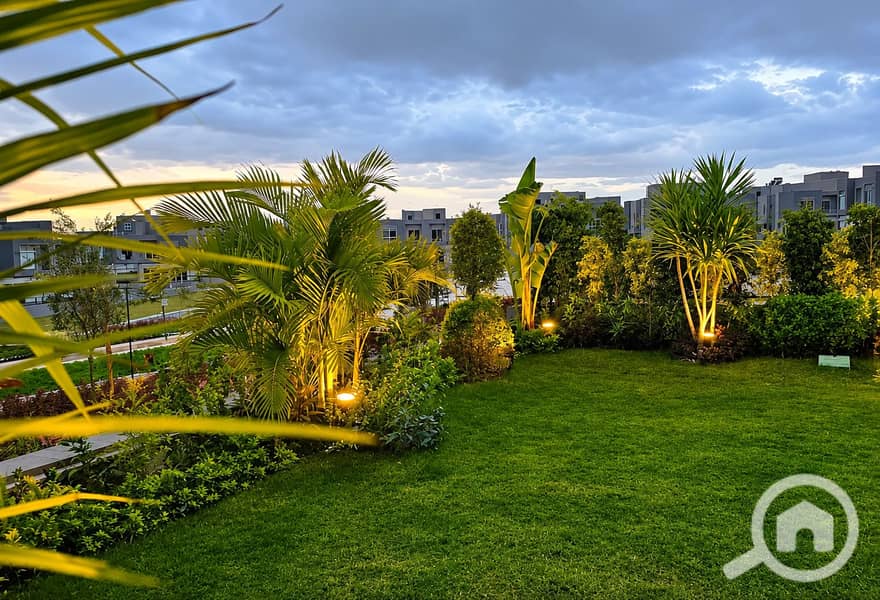 6 ChatGPT Image 23 مايو 2026، 02_12_15 م. png