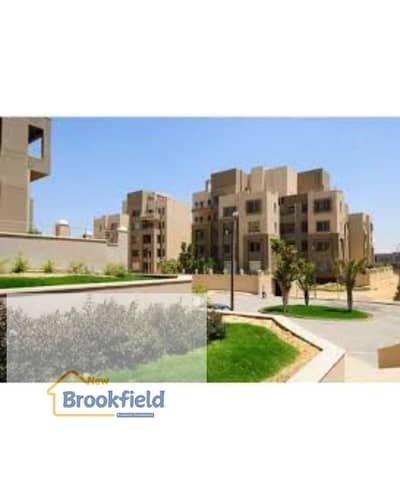 2 Bedroom Apartment for Rent in New Cairo, Cairo - images (1). jfif. jpg