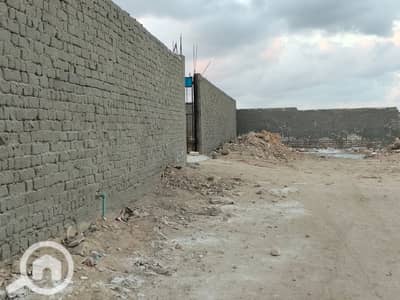 أرض تجارية للبيع في كينج مريوط، الإسكندرية - 69085. jpg أرض تجارية للبيع في كينج مريوط، الإسكندرية - 69085. jpg