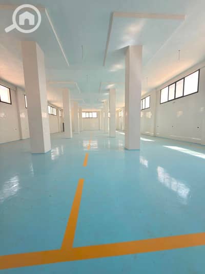 Factory for Rent in 10th of Ramadan, Sharqia - 436642. jpg Factory for Rent in 10th of Ramadan, Sharqia - 436642. jpg