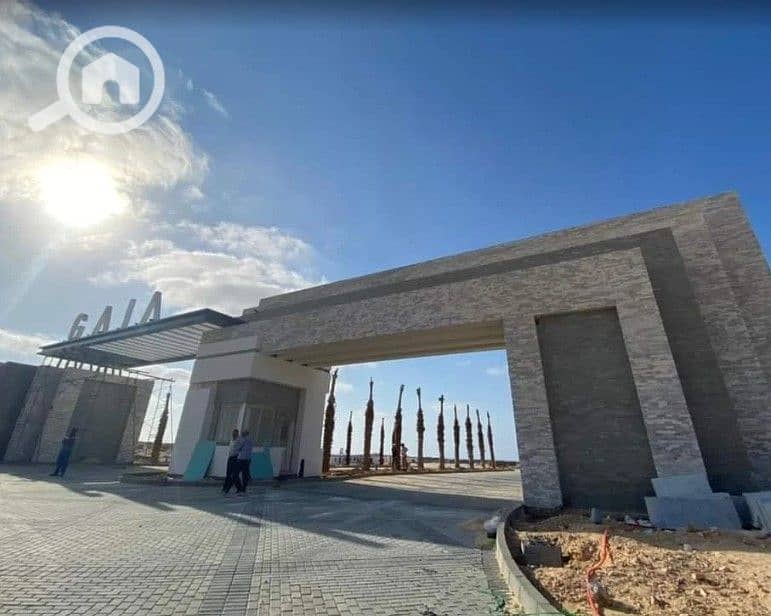 7 Screenshot 2026-04-02 122456. jpg