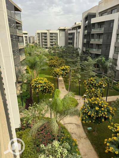 3 Bedroom Apartment for Rent in Madinaty, Cairo - WhatsApp Image 2026-07-25 at 1.31. 51 PM. jpeg