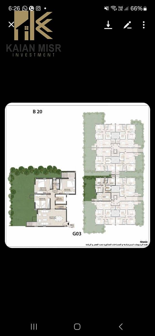 8 593. jpg