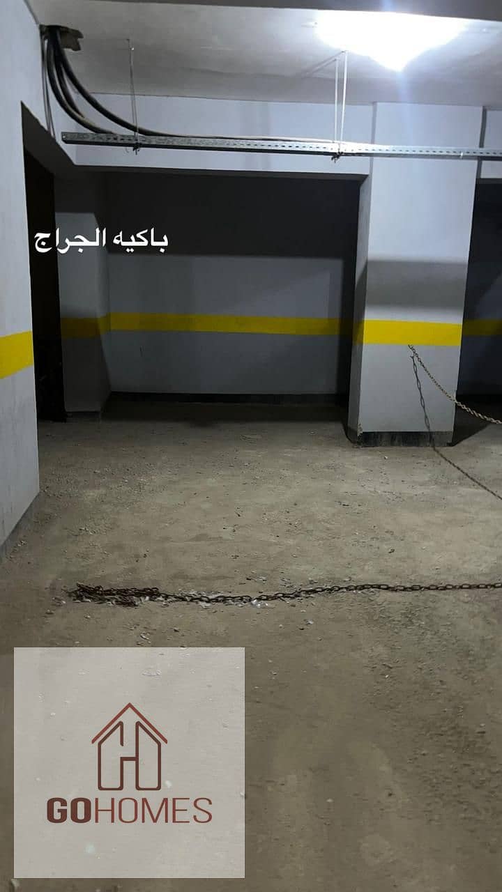 8 156416. jpg