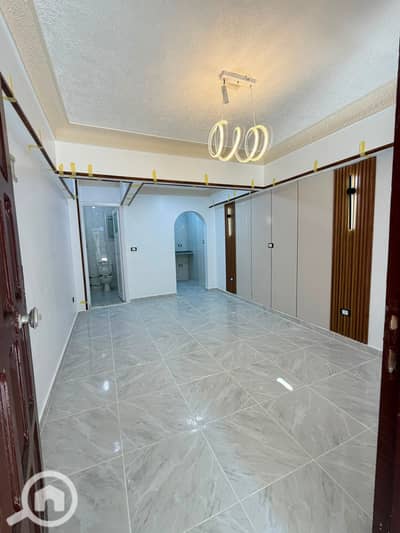 فلیٹ 1 غرفة نوم للبيع في النخيل، الإسكندرية - 1000454864. jpg