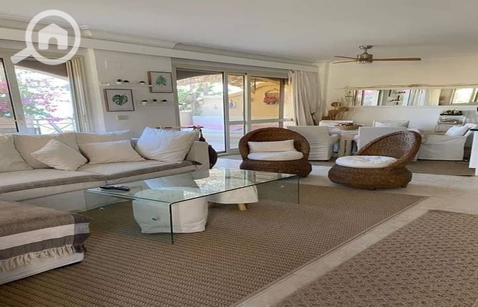 5 3. jpg