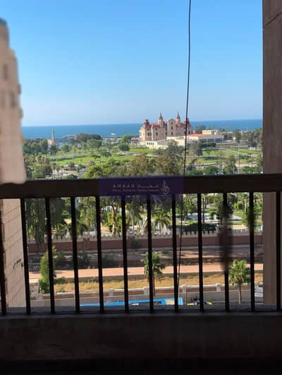 فلیٹ 4 غرف نوم للبيع في المنتزه، الإسكندرية - WhatsApp Image 2026-07-26 at 4.40. 18 PM (2). jpeg فلیٹ 4 غرف نوم للبيع في المنتزه، الإسكندرية - WhatsApp Image 2026-07-26 at 4.40. 18 PM (2). jpeg