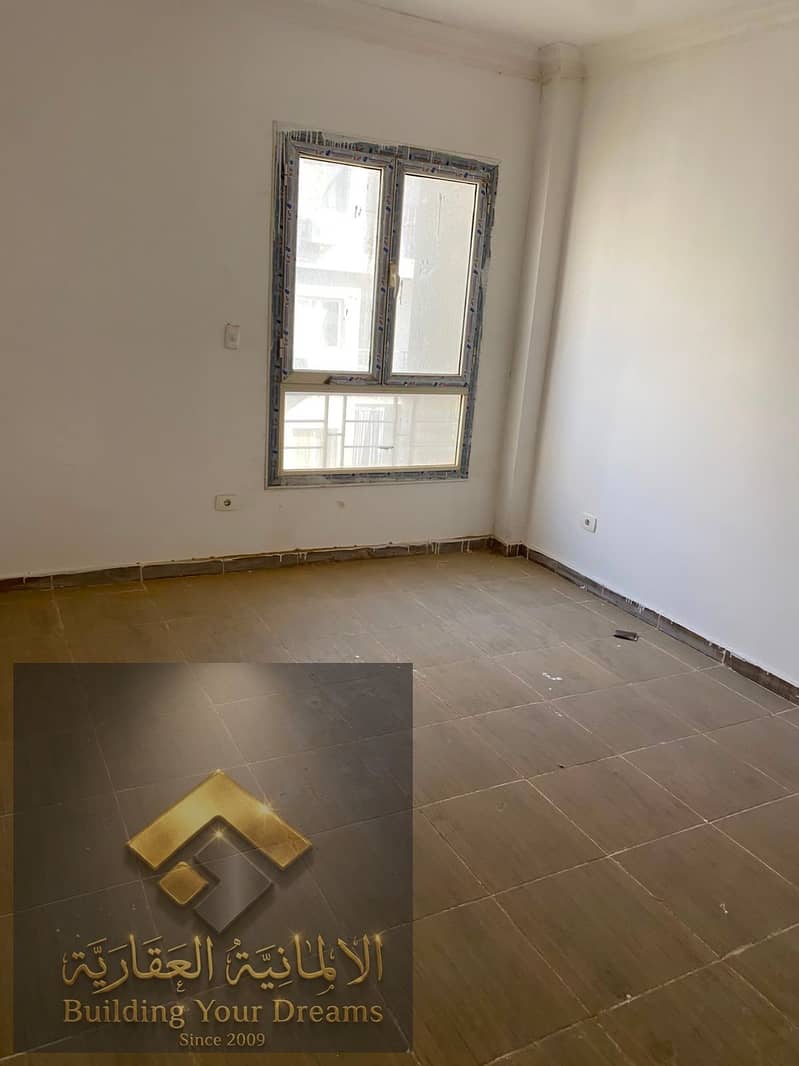 4 212908. jpg