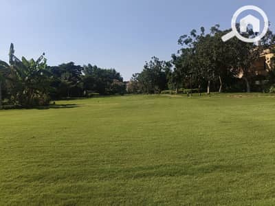 7 Bedroom Villa for Sale in Madinaty, Cairo - WhatsApp Image 2026-07-26 at 6.24. 15 AM. jpeg