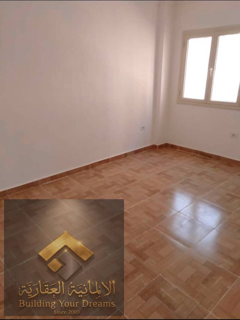 7 311449. jpg