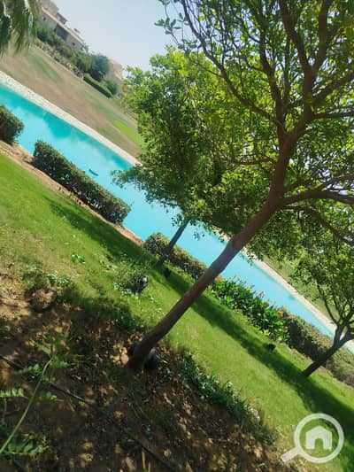 3 Bedroom Villa for Rent in Madinaty, Cairo - WhatsApp Image 2026-07-26 at 19.20. 23 (3). jpeg 3 Bedroom Villa for Rent in Madinaty, Cairo - WhatsApp Image 2026-07-26 at 19.20. 23 (3). jpeg