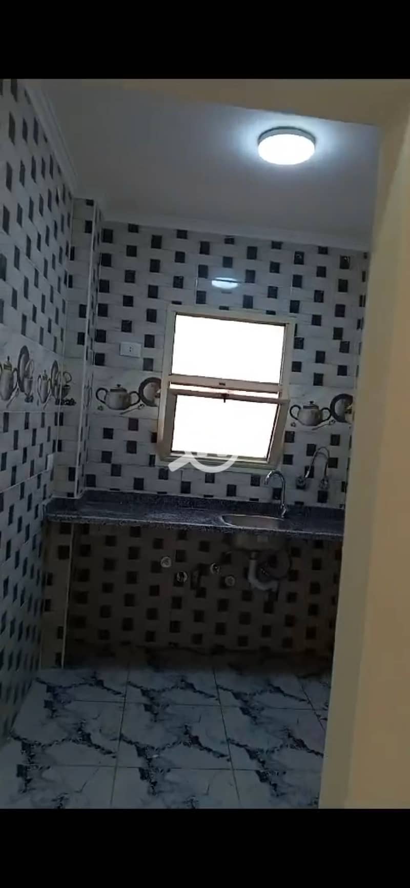 4 885949. jpg