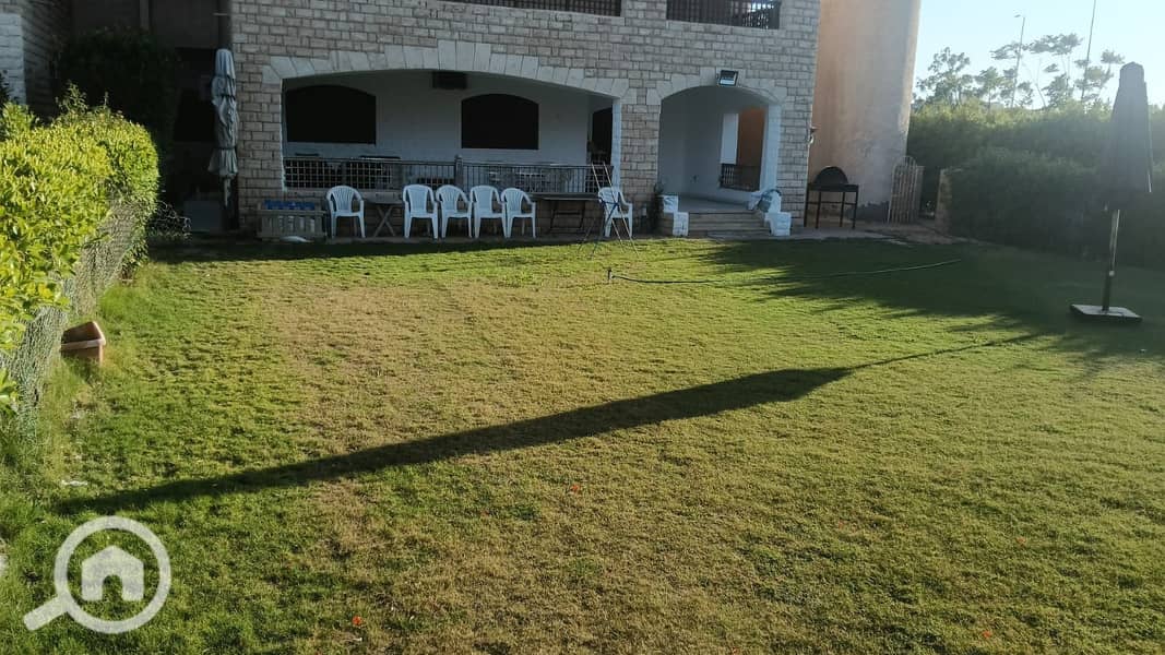 2 400839. jpg
