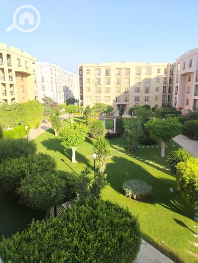 3 Bedroom Apartment for Rent in New Cairo, Cairo - WhatsApp Image 2026-07-26 at 10.24. 34 PM(3). jpeg 3 Bedroom Apartment for Rent in New Cairo, Cairo - WhatsApp Image 2026-07-26 at 10.24. 34 PM(3). jpeg