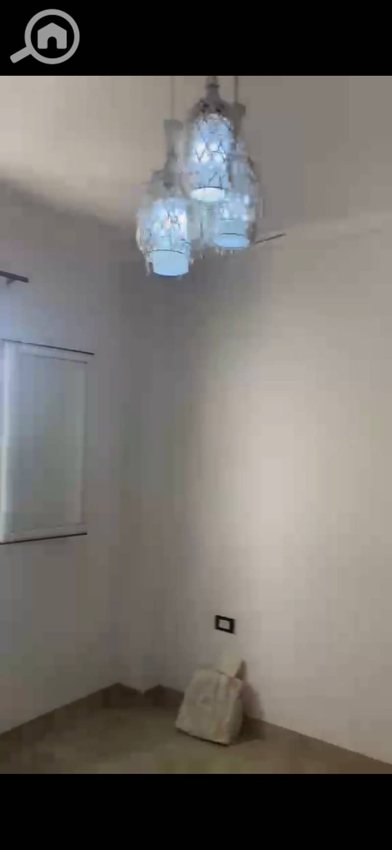 8 886295. jpg