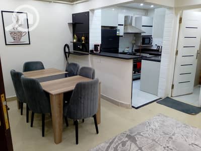 2 Bedroom Hotel Apartment for Rent in Dokki, Giza - 18502. jpg