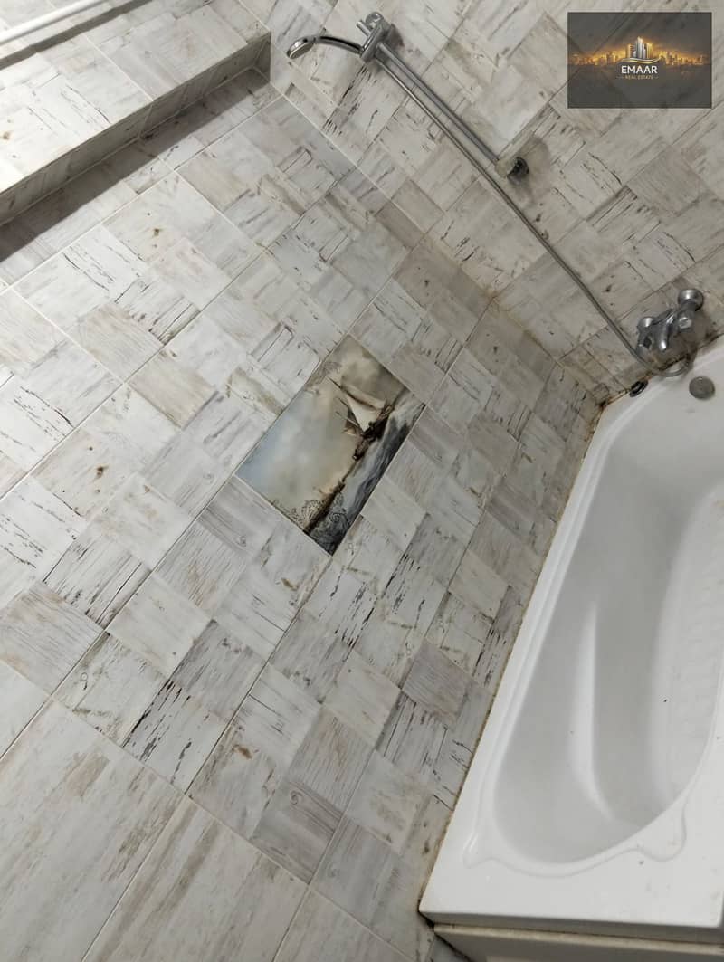 5 1000877539. jpg