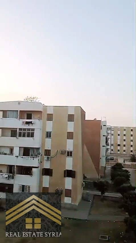 8 1000526581. jpg