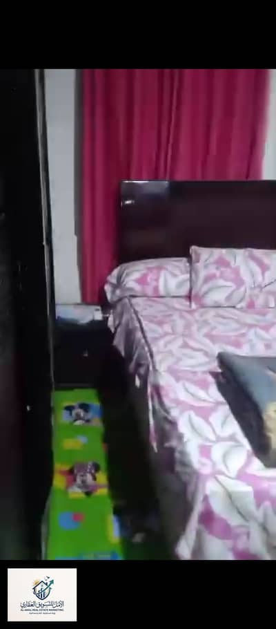 2 Bedroom Flat for Rent in Maadi, Cairo - 1000241706. jpg