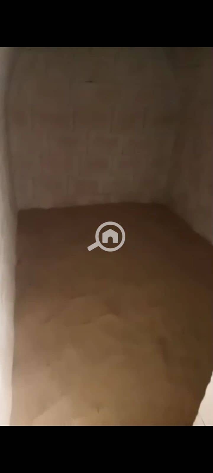 6 1000318202. png