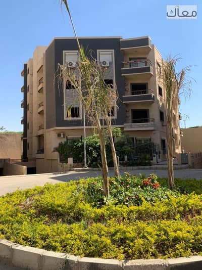 2 Bedroom Flat for Sale in New Cairo, Cairo - 37efd533-f305-470f-a7ca-dd0a854fa851. jpeg 2 Bedroom Flat for Sale in New Cairo, Cairo - 37efd533-f305-470f-a7ca-dd0a854fa851. jpeg