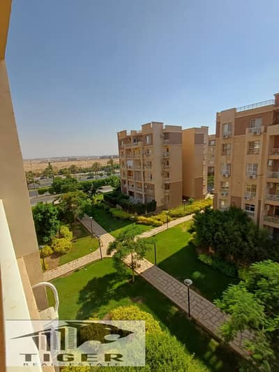 2 Bedroom Flat for Sale in Madinaty, Cairo - motion_photo_1783253210074144085. jpg 2 Bedroom Flat for Sale in Madinaty, Cairo - motion_photo_1783253210074144085. jpg