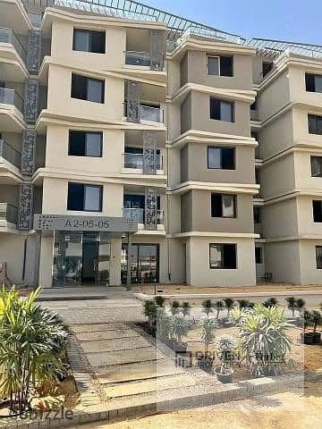 6 badya palm hills (98). jpg