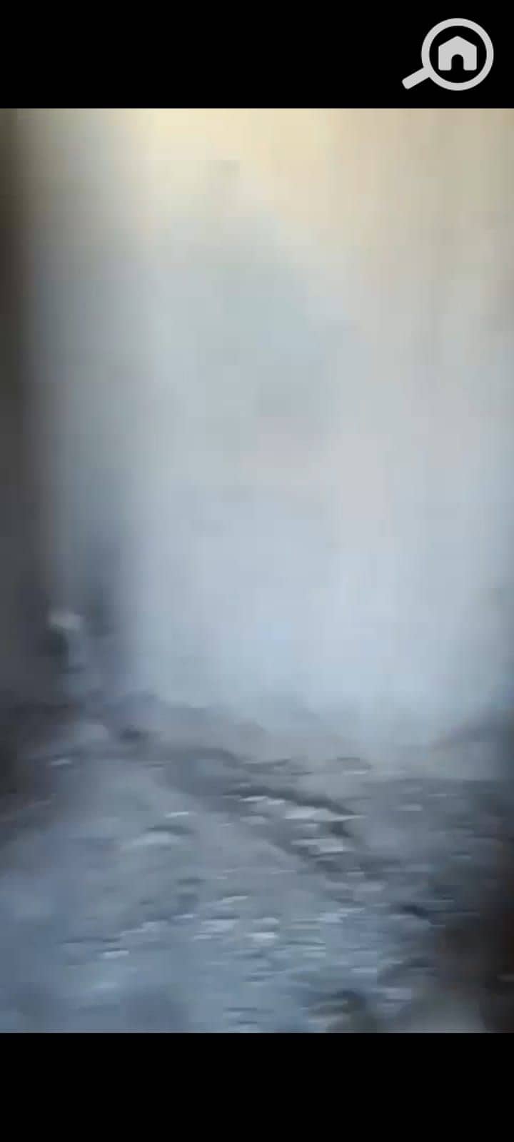 2 1001176701. jpg