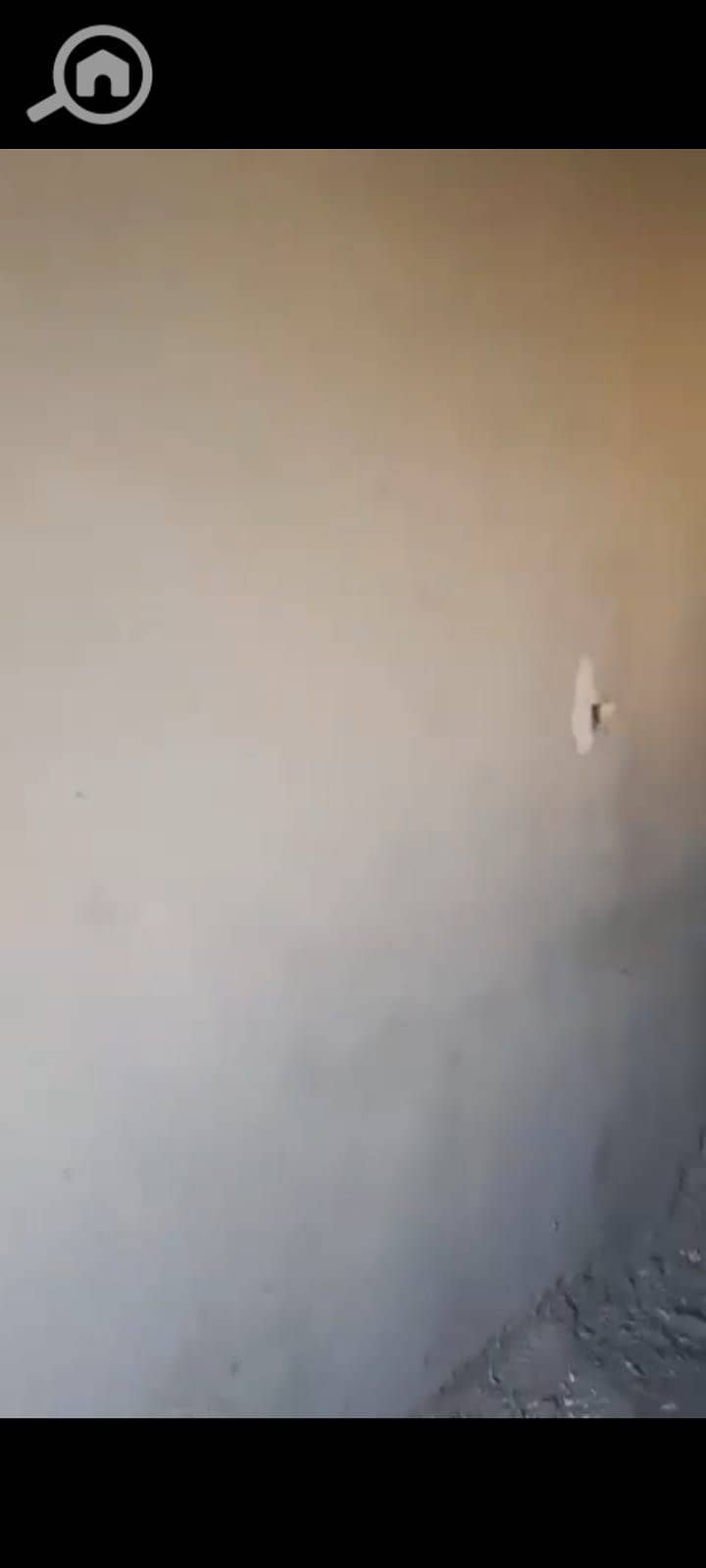 3 1001176698. jpg
