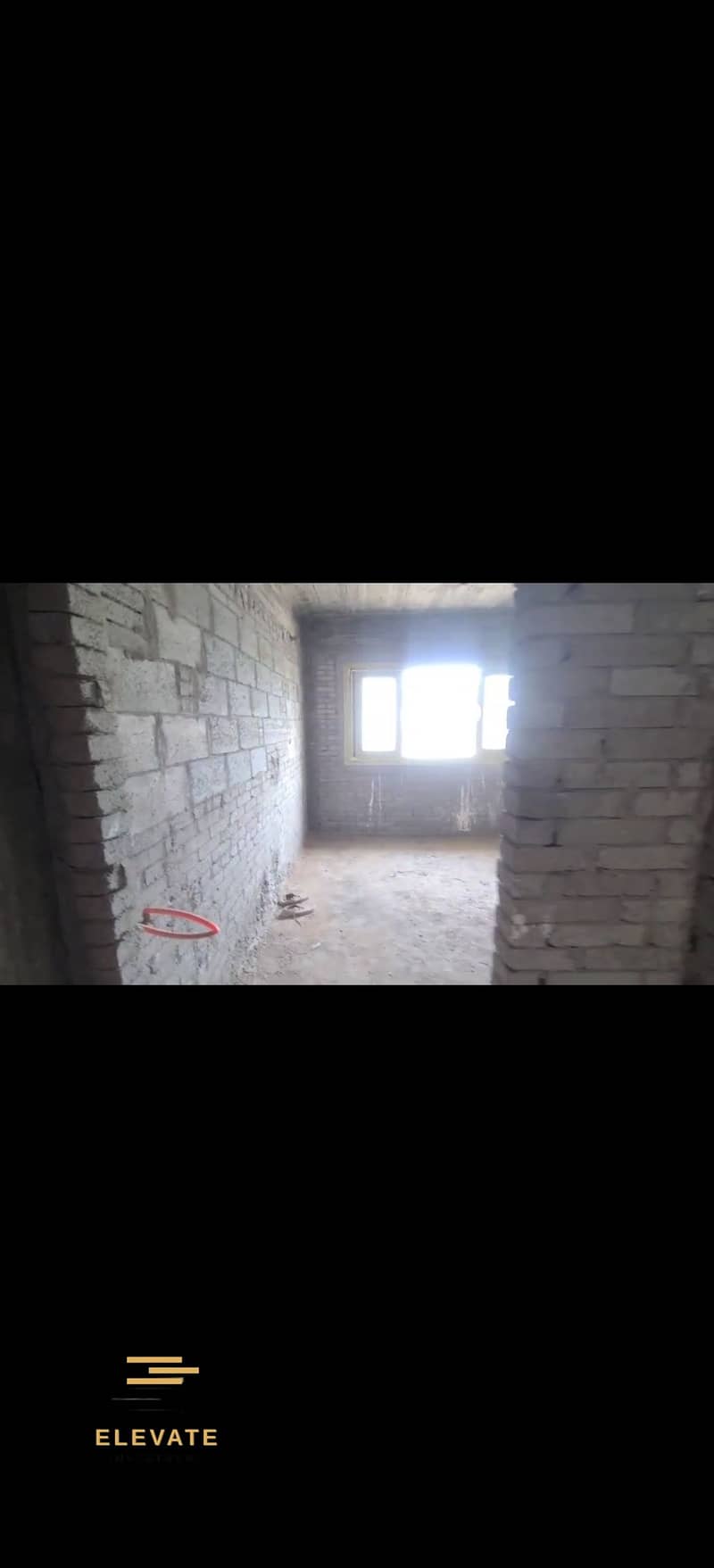 4 339301. jpg