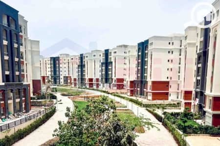 3 Bedroom Apartment for Sale in Agami, Alexandria - WhatsApp Image 2026-06-23 at 12.52. 47 (1). jpg 3 Bedroom Apartment for Sale in Agami, Alexandria - WhatsApp Image 2026-06-23 at 12.52. 47 (1). jpg