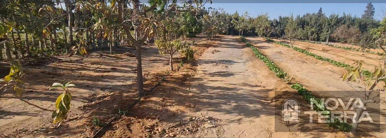 Land for Sale Near Sphinx International Airport - Aanzicht 2
