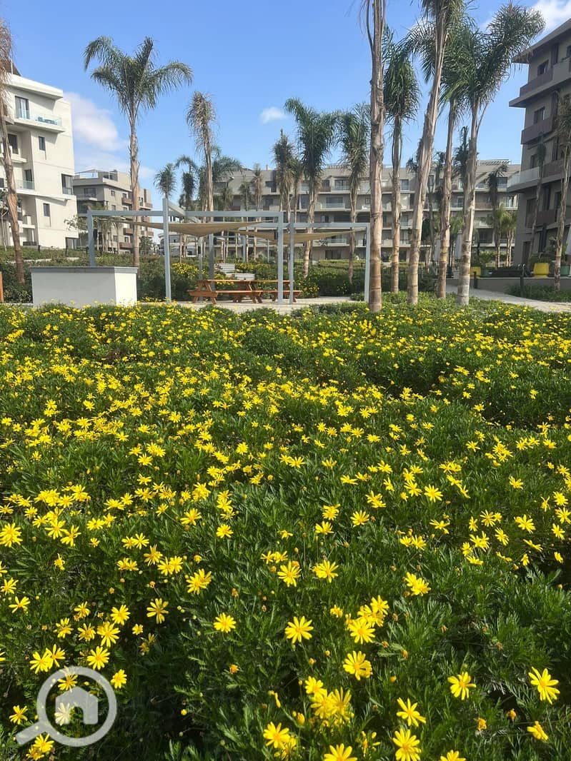 6 WhatsApp Image 2025-12-29 at 1.13. 49 PM. jpeg