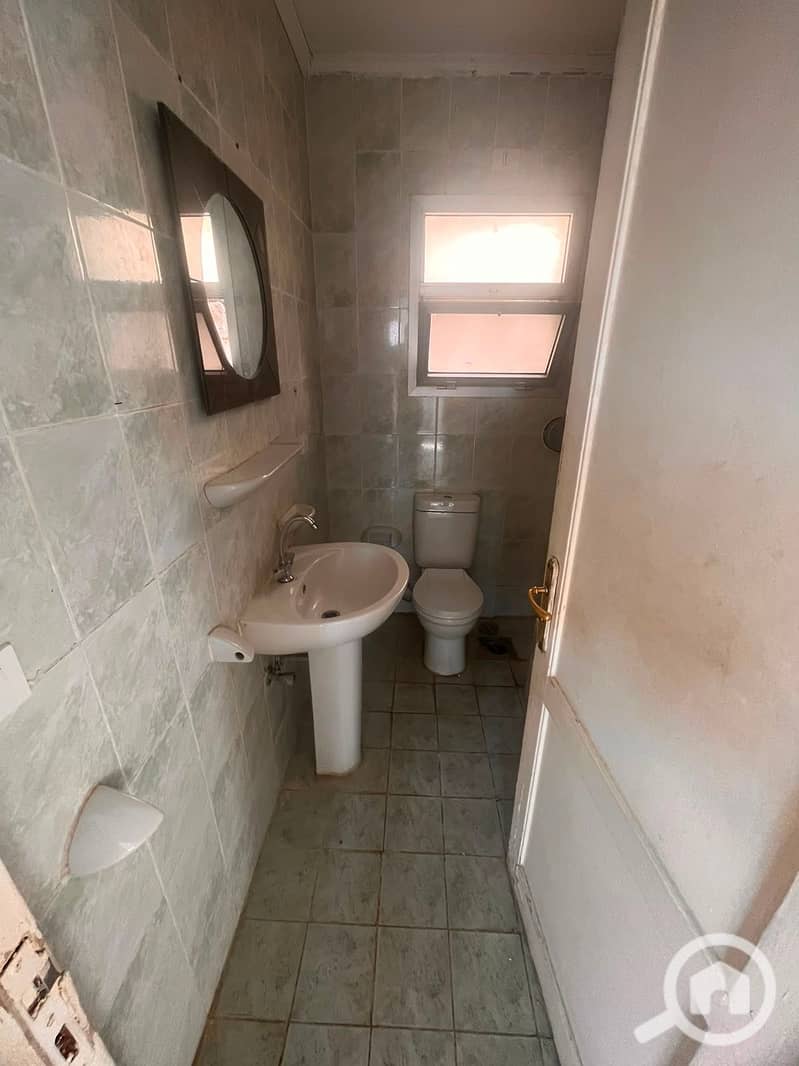 8 533242. jpg