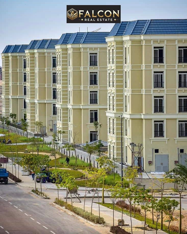 6 WhatsApp Image 2025-10-10 at 15.52. 49_37da4e8f. jpg