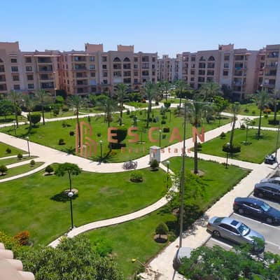 فلیٹ 4 غرف نوم للايجار في القاهرة الجديدة، القاهرة - 1. jpg فلیٹ 4 غرف نوم للايجار في القاهرة الجديدة، القاهرة - 1. jpg