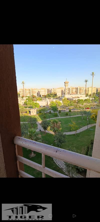 3 Bedroom Apartment for Rent in Madinaty, Cairo - 1000751024. jpg 3 Bedroom Apartment for Rent in Madinaty, Cairo - 1000751024. jpg