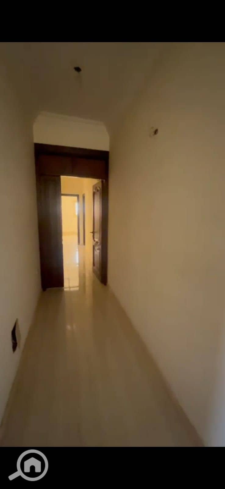 4 54645. jpg