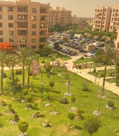 3 Bedroom Apartment for Sale in New Cairo, Cairo - d49469dc-b005-4ab6-8537-732f30057166. jpg 3 Bedroom Apartment for Sale in New Cairo, Cairo - d49469dc-b005-4ab6-8537-732f30057166. jpg