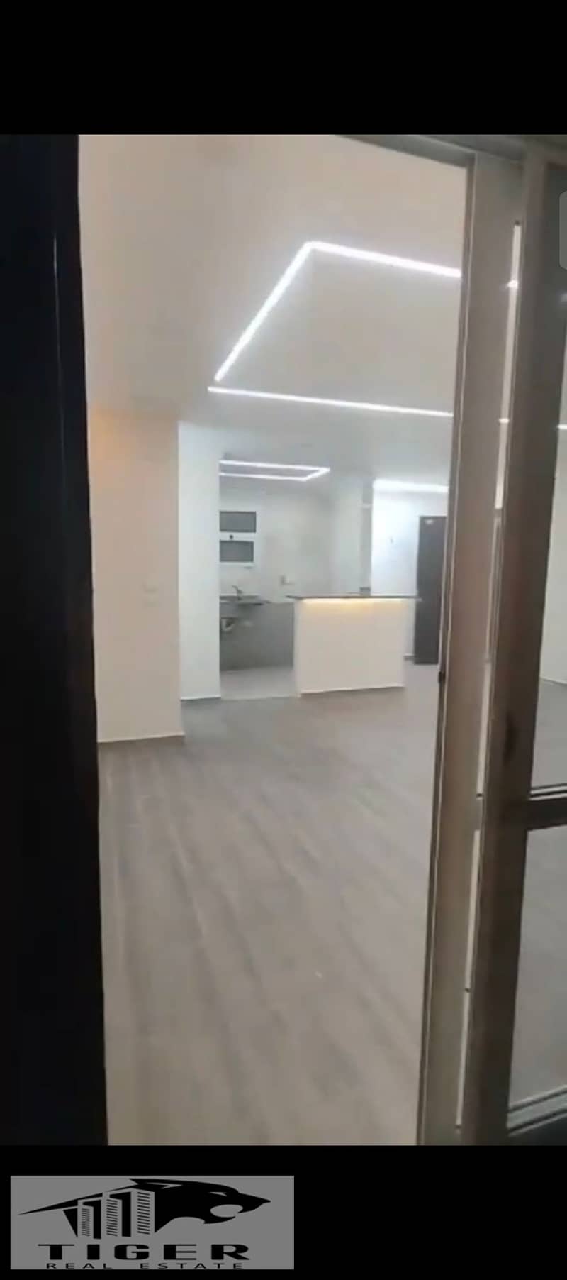 3 213093. jpg